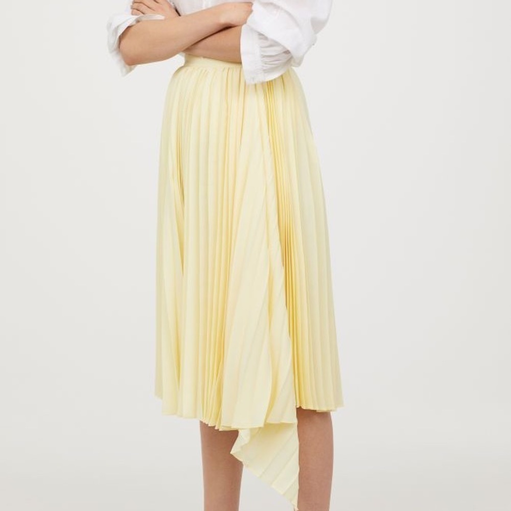 Asymmetrical Pleated Skirt​​​​ - Picture 8 of 8